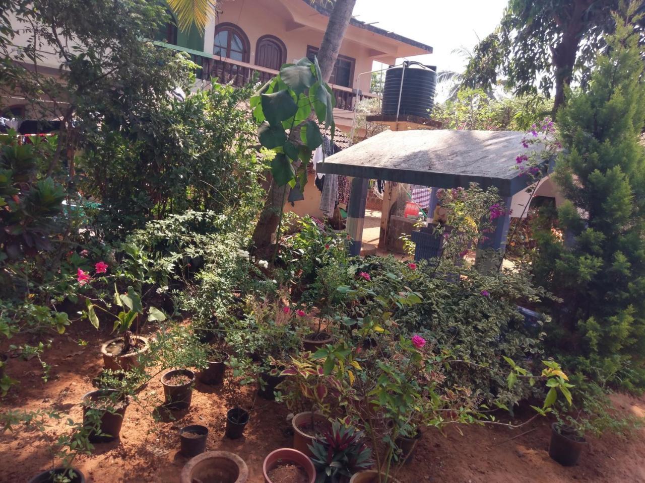 21In Guest House Calangute Kültér fotó